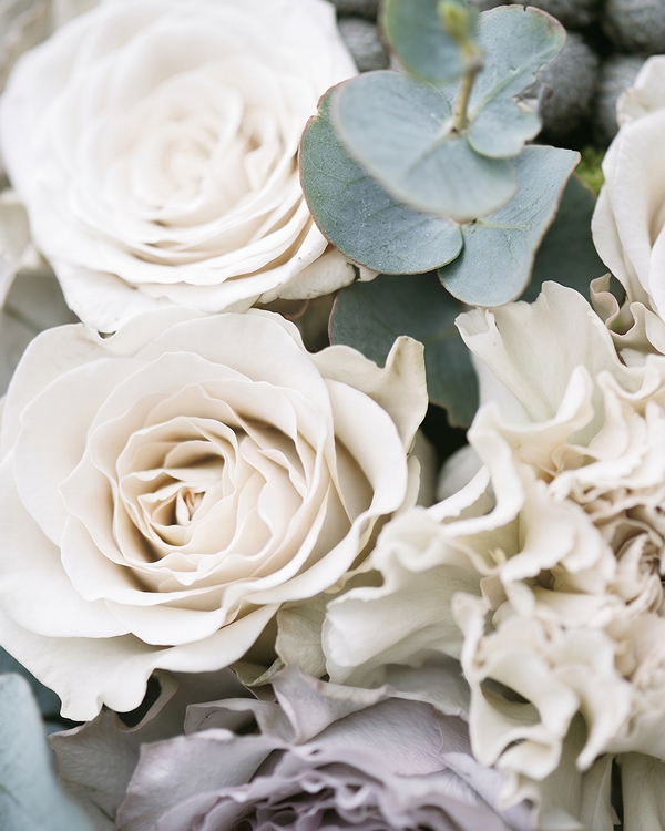 white roses