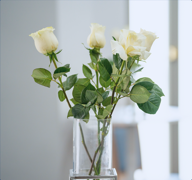 white roses